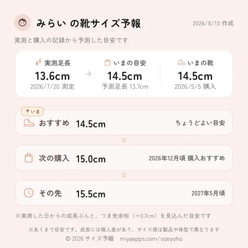 靴サイズ予報の保存画像サンプル